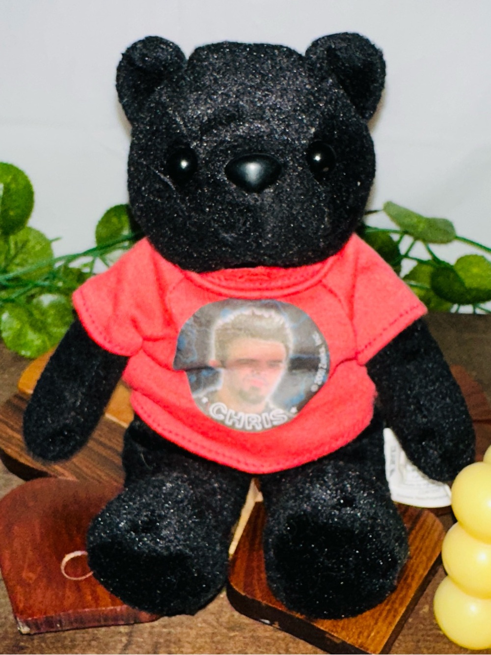 Y2K NSYNC Chris Kirkpatrick Plush Beanie Bear